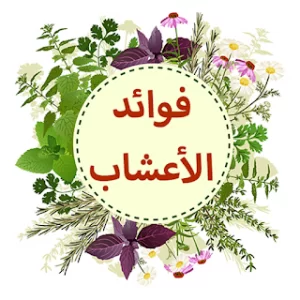 اعشاب طبية بدون نت icon